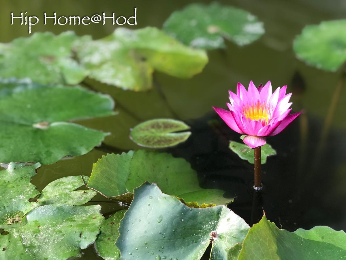 Hip Home At Hod Hot Luaran gambar